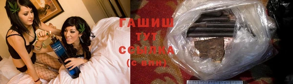 стаф Бородино