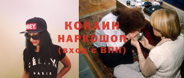 стаф Бородино