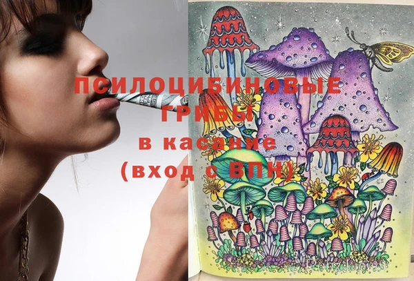 apvp Бугульма