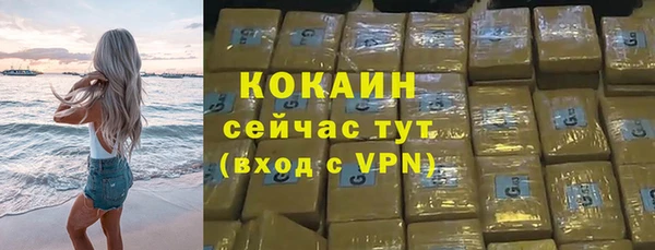 стаф Бородино