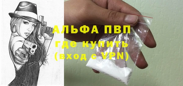 стаф Бородино
