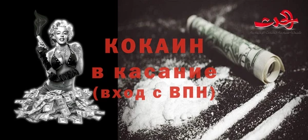 стаф Бородино