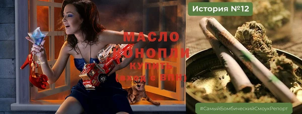стаф Бородино