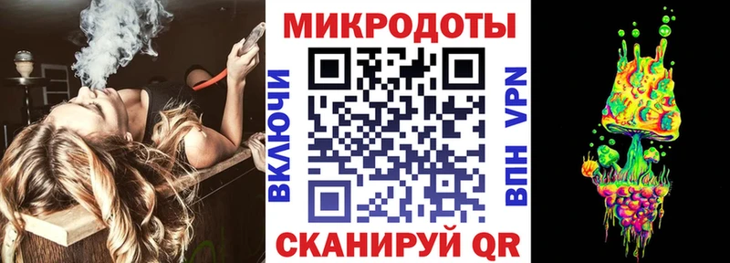 Галлюциногенные грибы Psilocybine cubensis  Кореновск 
